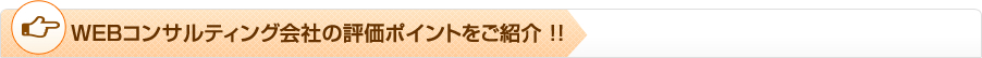 WEBコンサルティング会社の評価ポイントをご紹介 !!